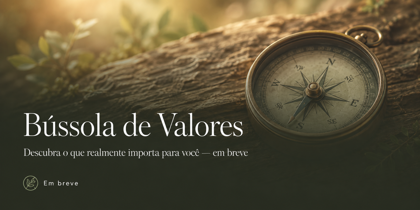 Bússola de Valores